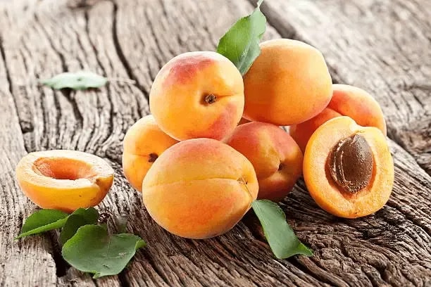 featured image of apricot