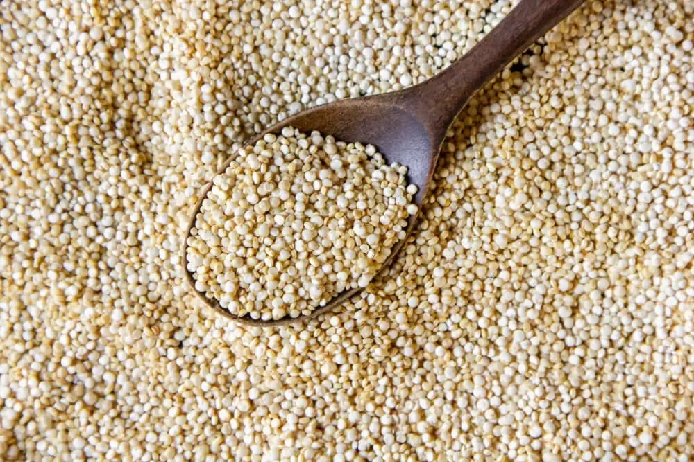 featured image of quinoa