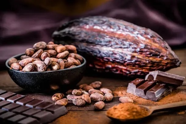 image of cacao