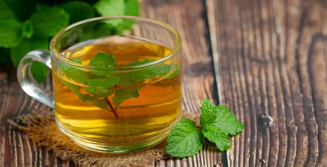 image of peppermint tea