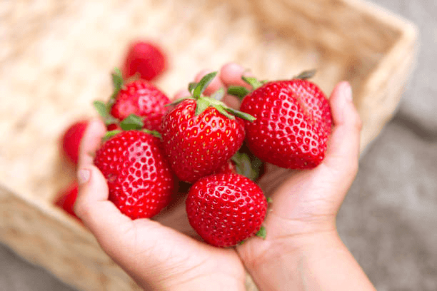 strawberries