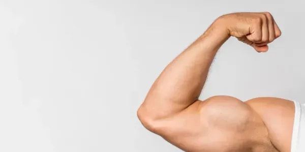 illustration of bulking muscle